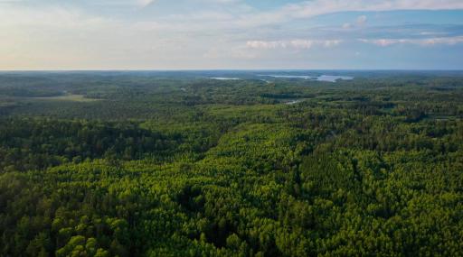 6991 Crane Lake Road, Crane Lake, MN 55725