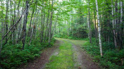 6991 Crane Lake Road, Crane Lake, MN 55725