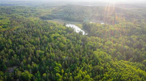 6991 Crane Lake Road, Crane Lake, MN 55725