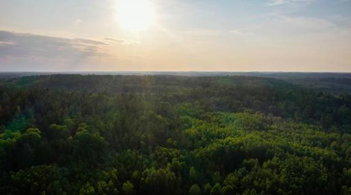 6991 Crane Lake Road, Crane Lake, MN 55725