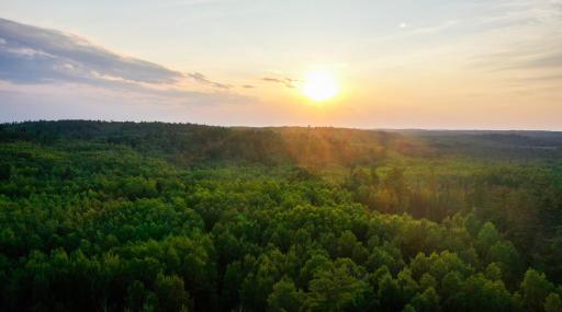 6991 Crane Lake Road, Crane Lake, MN 55725