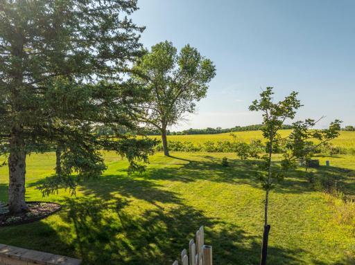 Large South facing backyard