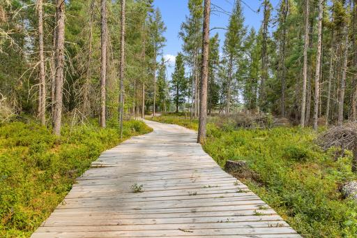 Boardwalk to the lake.
