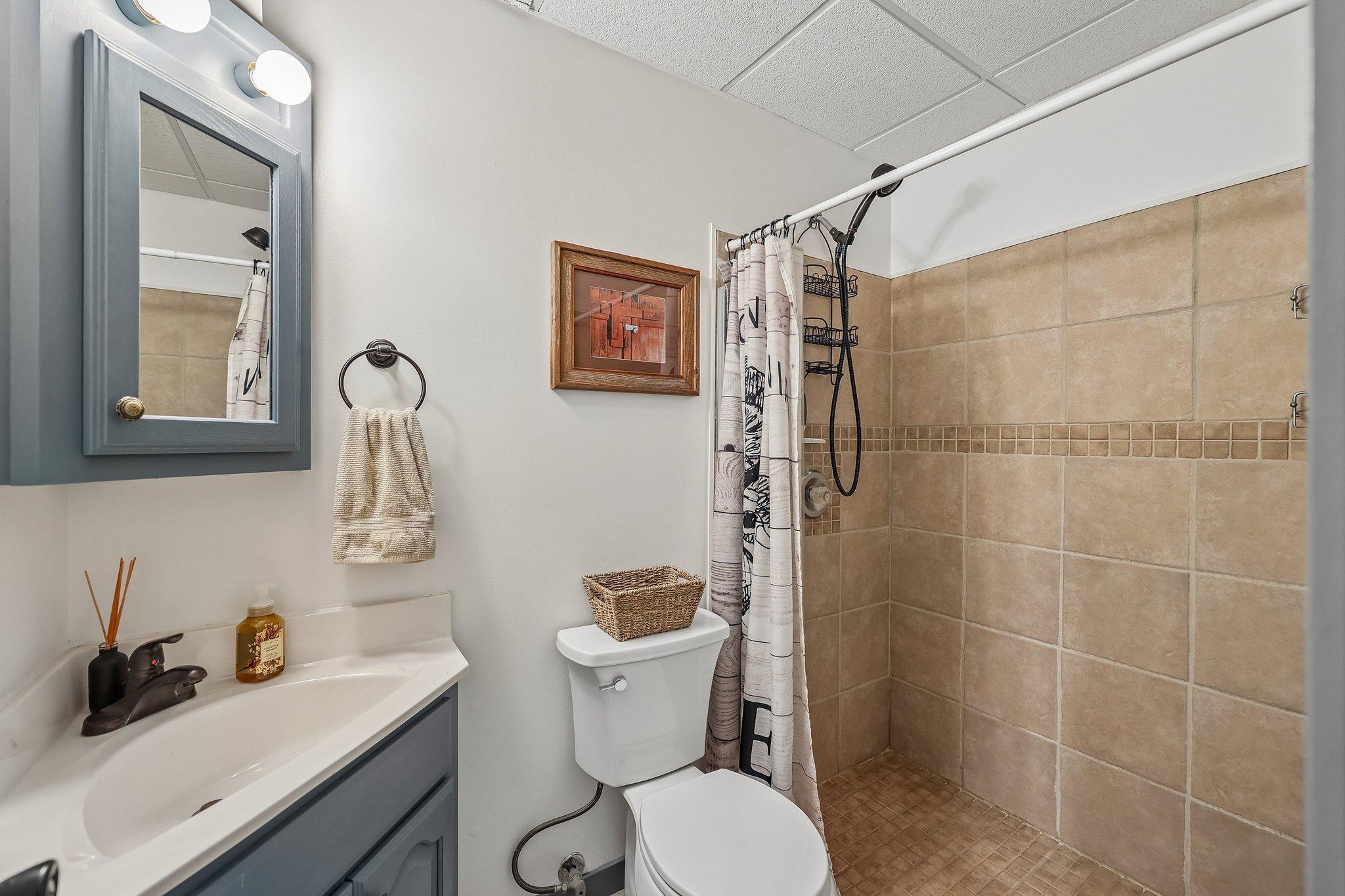 Updated lower level bathroom