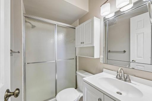 Lower level bathroom