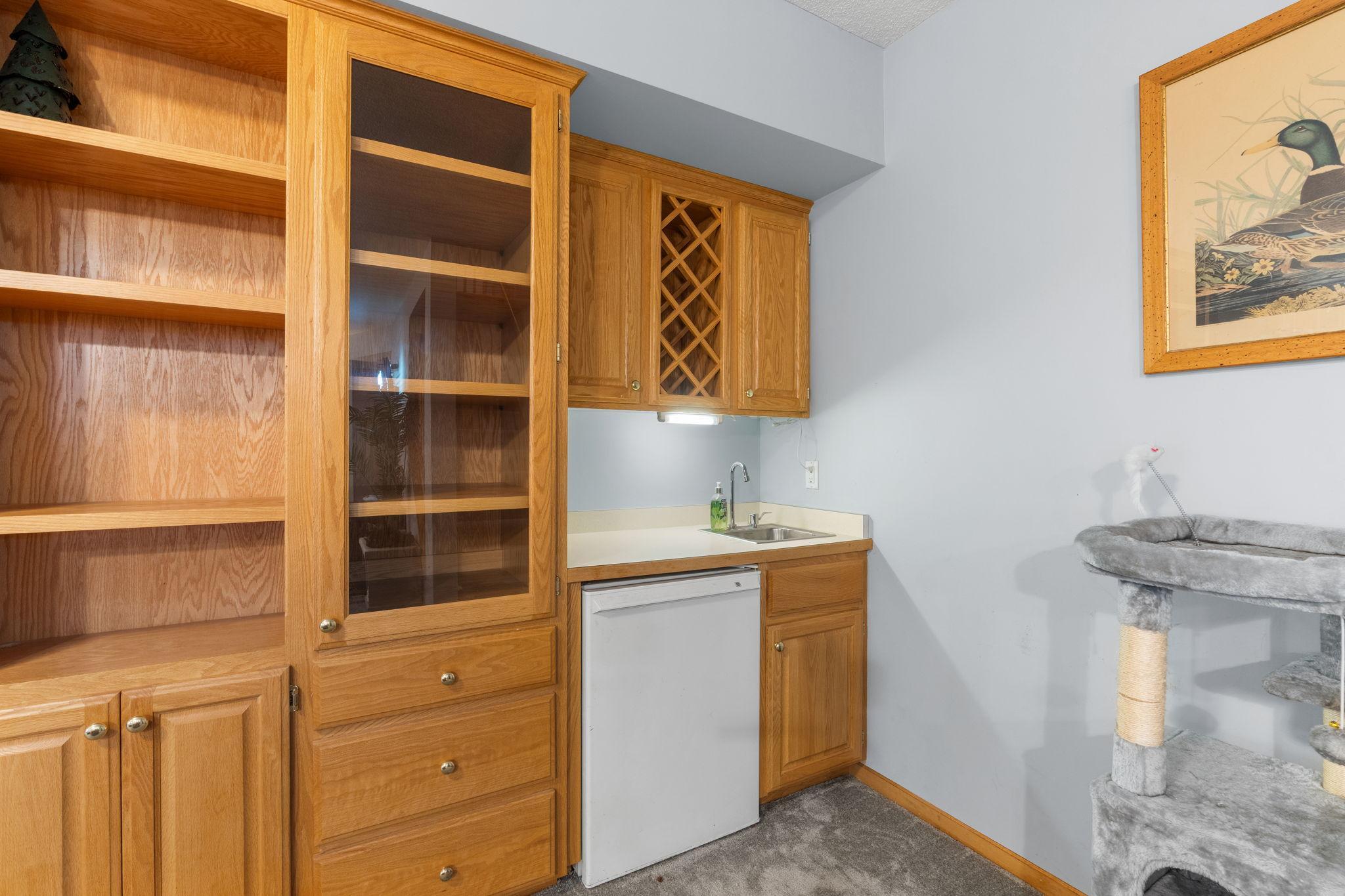 Lower Level Wet Bar