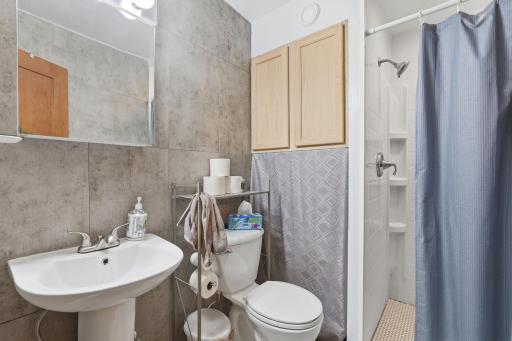 Lower level bathroom