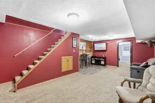 Lower level family room