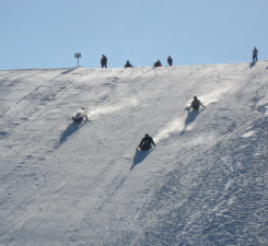 Mount Waconia sledding