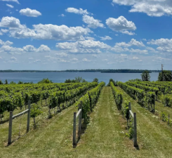 One of three local wineries