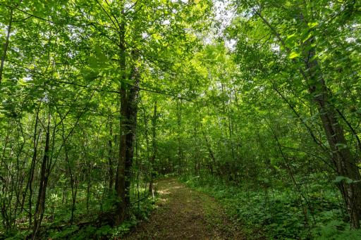 DSC07980-HDR.jpg
