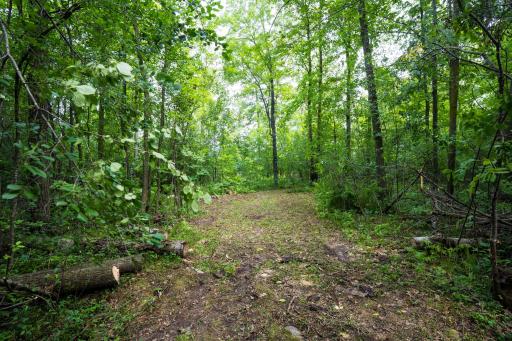 Photo for 7xxx 200th St., Milaca, MN 56353 - listing #7128187 7xxx 200th St., Milaca, MN 56353
