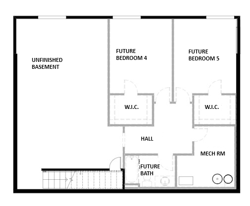 Unfinished basement for future growth