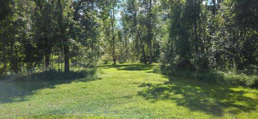 Middle of lot