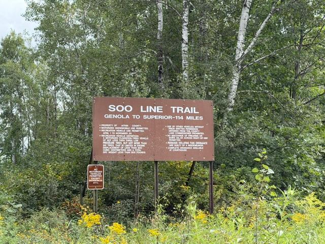Photo 31