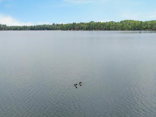 Goodrich Lake- Lake Country's best kept secret!