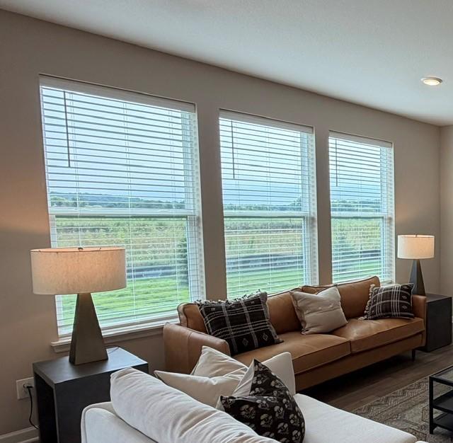Whole House Blinds Included - 4633 Island Park Drive, Woodbury, MN 55129.jpg