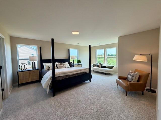 Owner's Bedroom with Sitting Area and Staging - 4633 Island Park Drive, Woodbury, MN 55129
