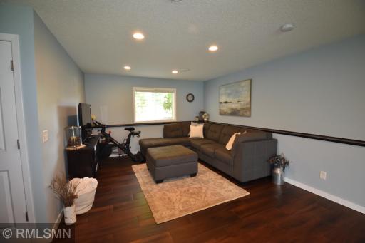 Lower level family room