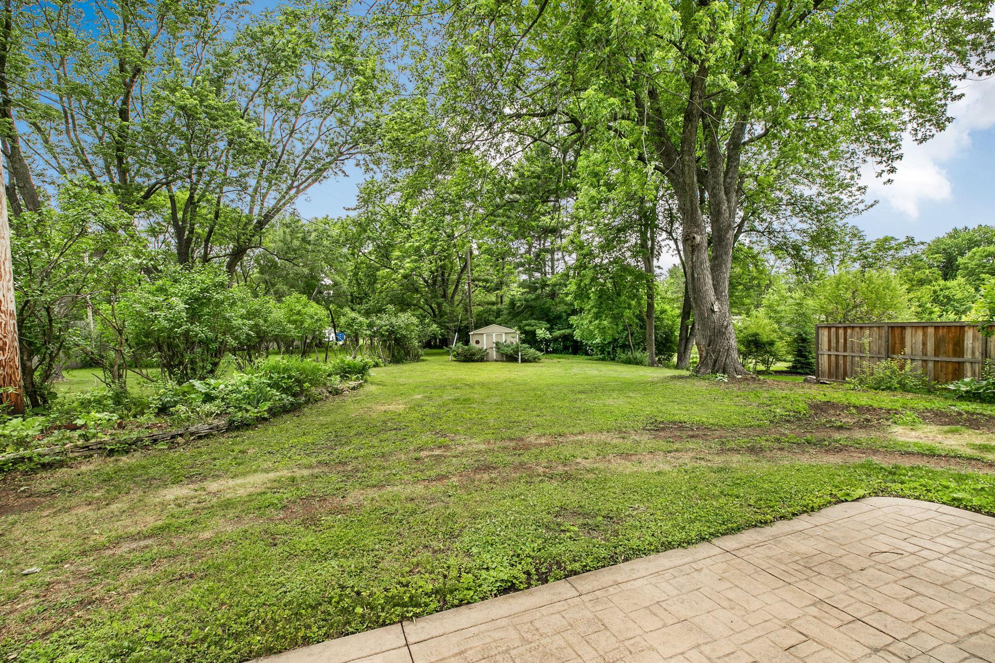 Wooded Lot