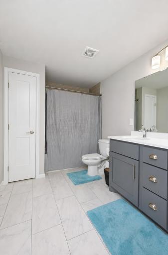Basment Bathroom