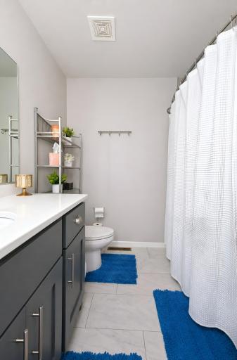 Main floor bathroom