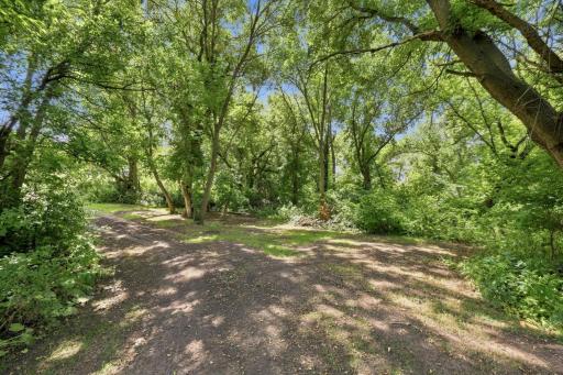 Wooded area