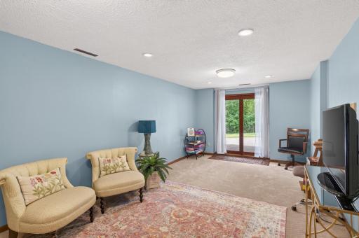 Lower level family room walks out to the gorgeous backyard