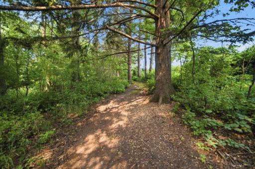 Walking Path to Back Acres