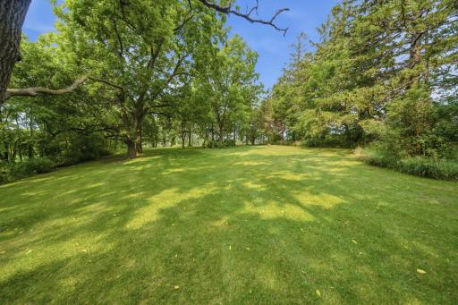 Back 3 Acres