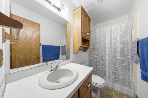 15783 Ilex Street NW, Andover, MN 55304