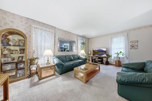 15783 Ilex Street NW, Andover, MN 55304