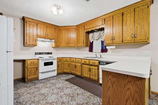 15783 Ilex Street NW, Andover, MN 55304