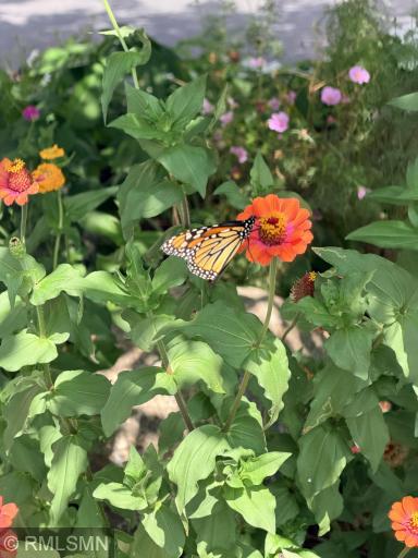 Be welcomed by the flowers as you enter!