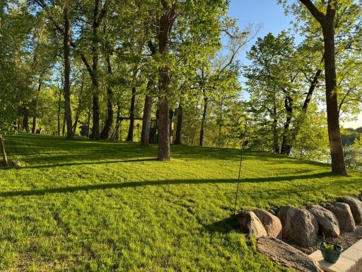 Yard