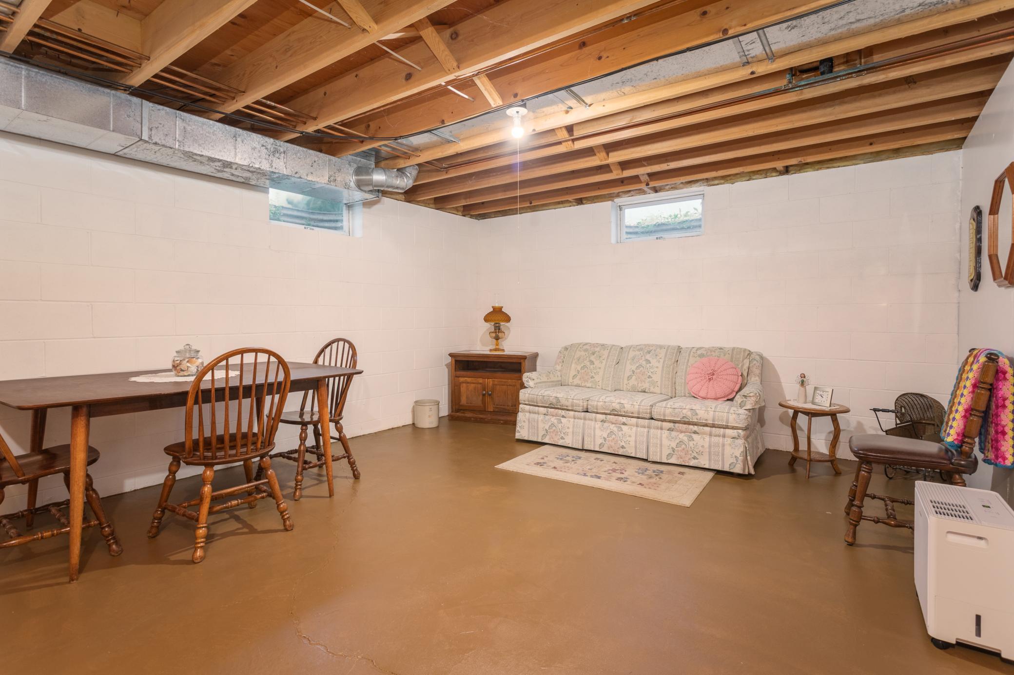 Unfinished Basement