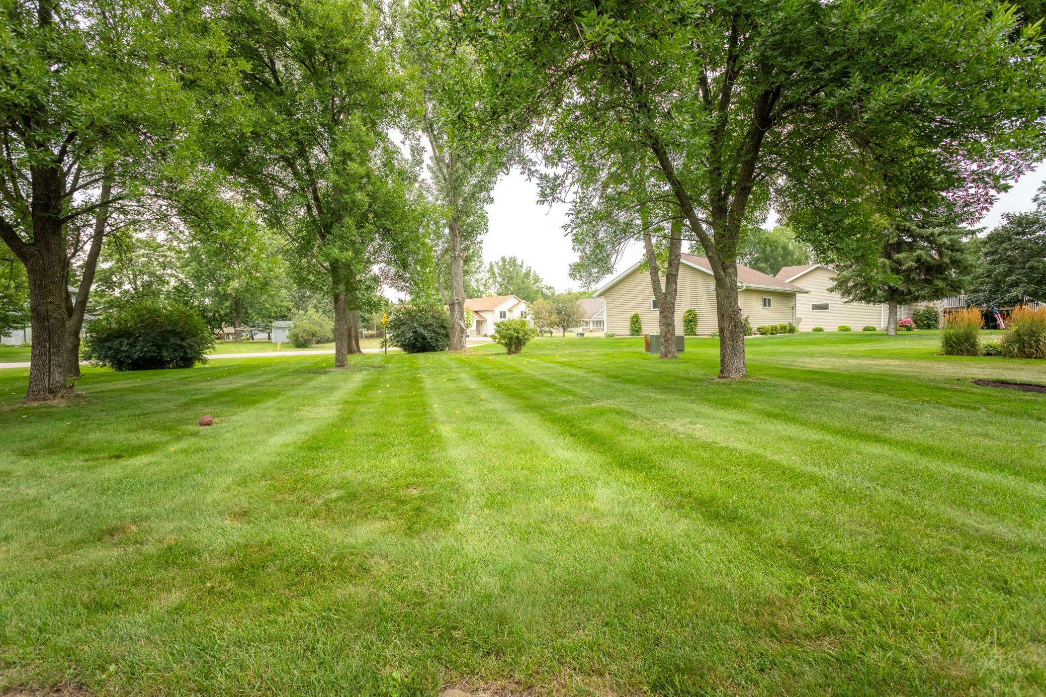 Large backyard