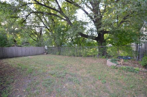back yard.JPG