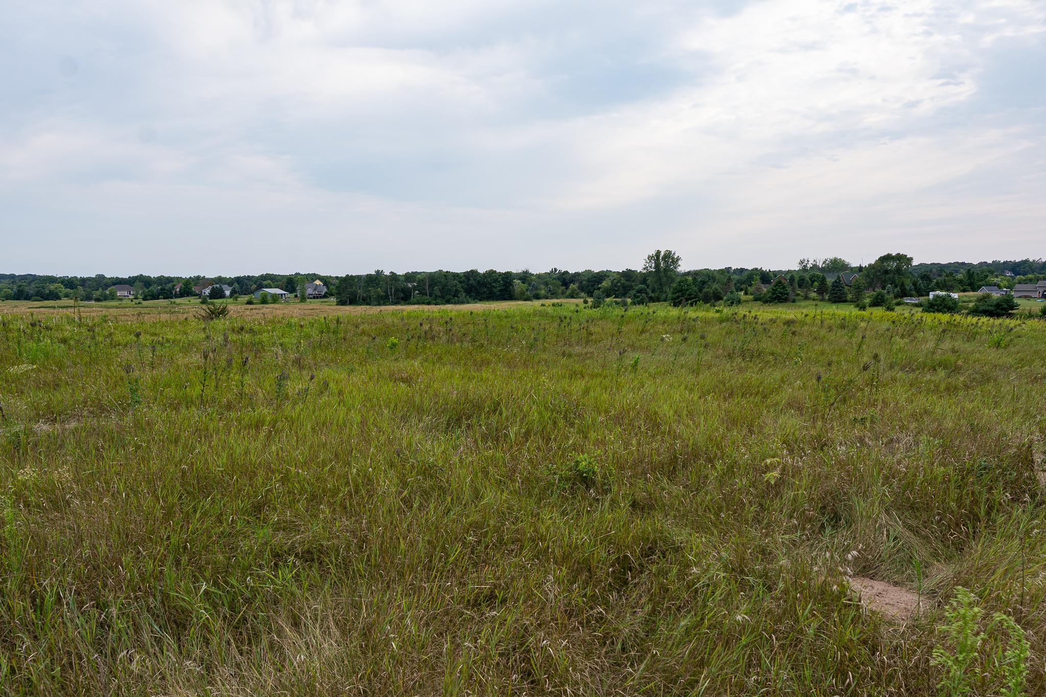 DSC01666.jpg