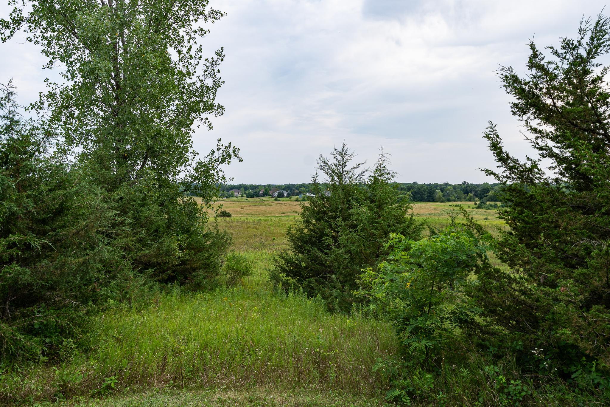 DSC01663.jpg