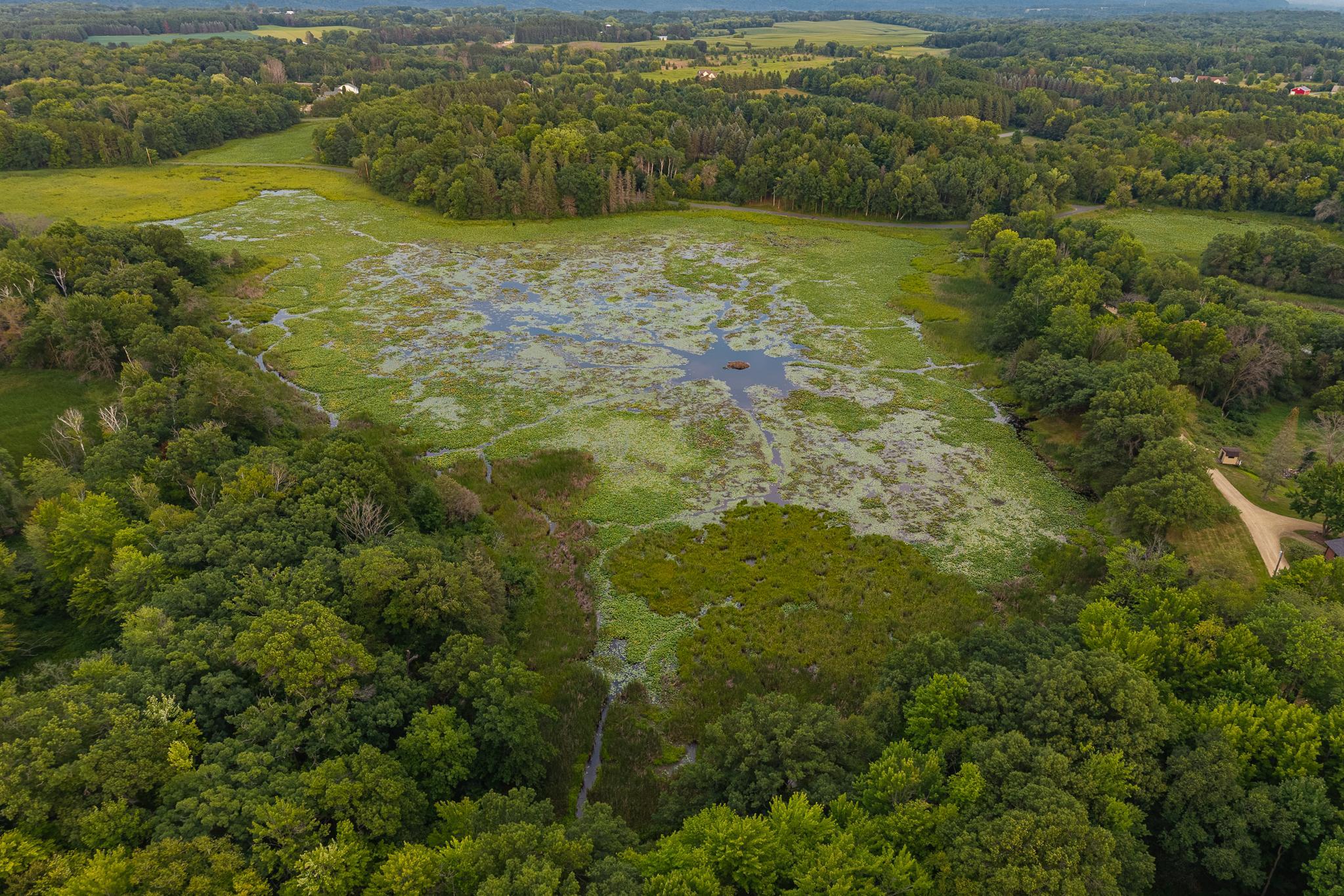 DJI_20260803191803_0101_D-HDR.jpg