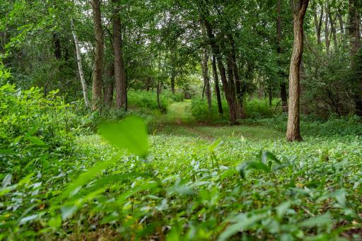 20370 Ostrum Avenue N, Scandia, MN 55047