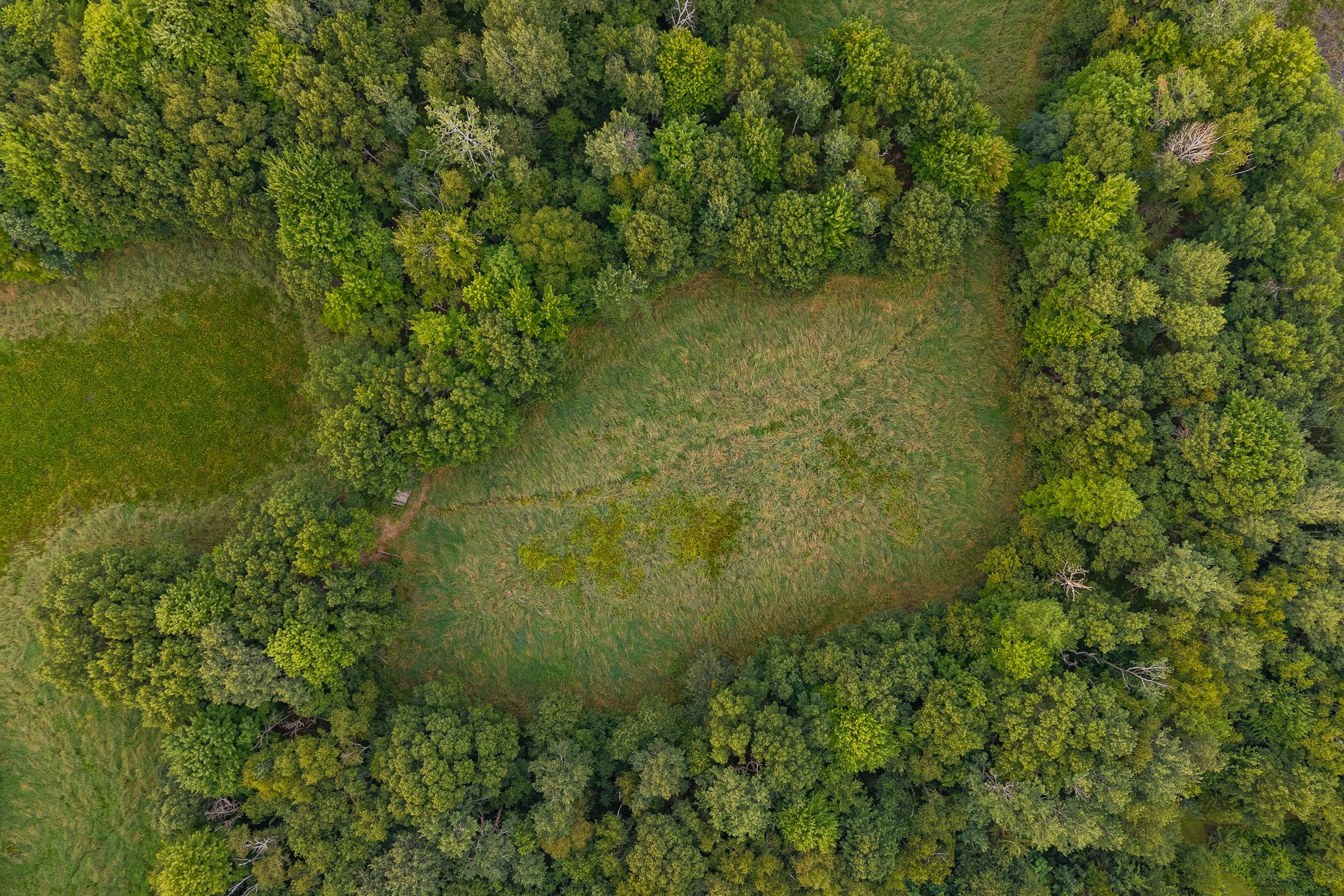 DJI_20260803191649_0086_D-HDR.jpg
