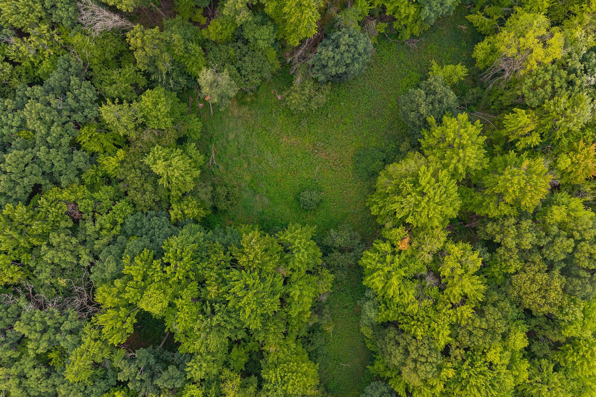 DJI_20260803191740_0096_D-HDR.jpg