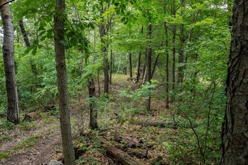 20370 Ostrum Avenue N, Scandia, MN 55047