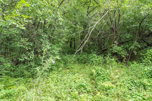 20370 Ostrum Avenue N, Scandia, MN 55047