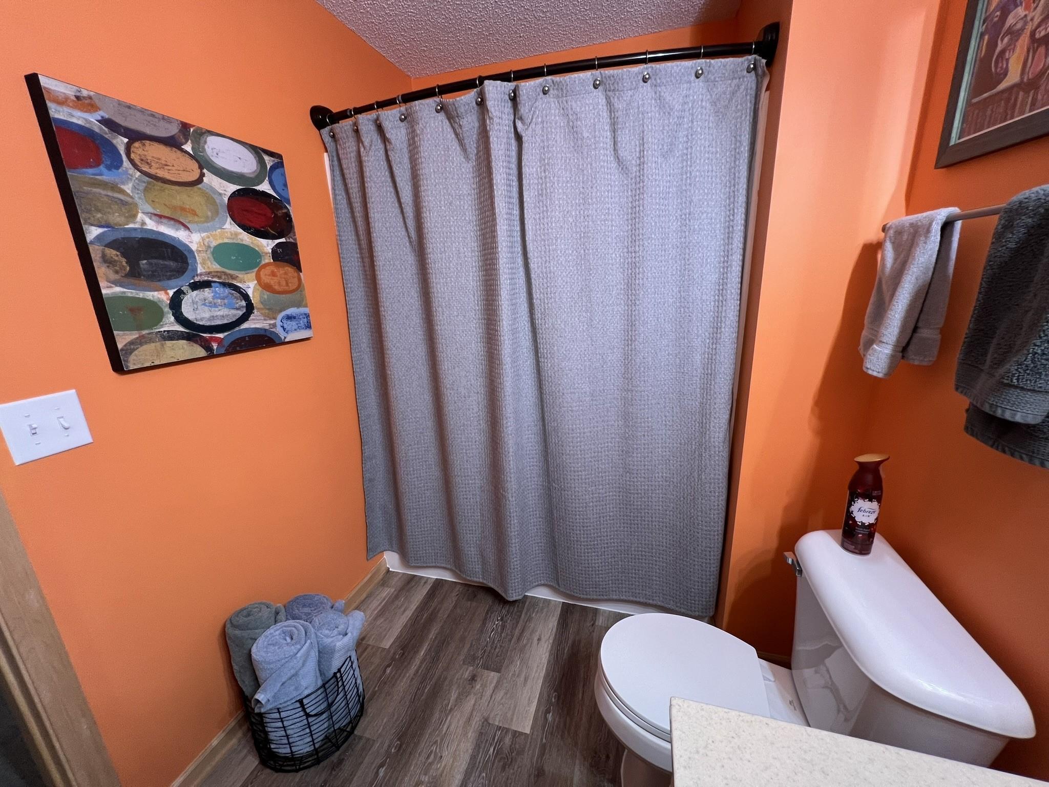 Lower level bathroom