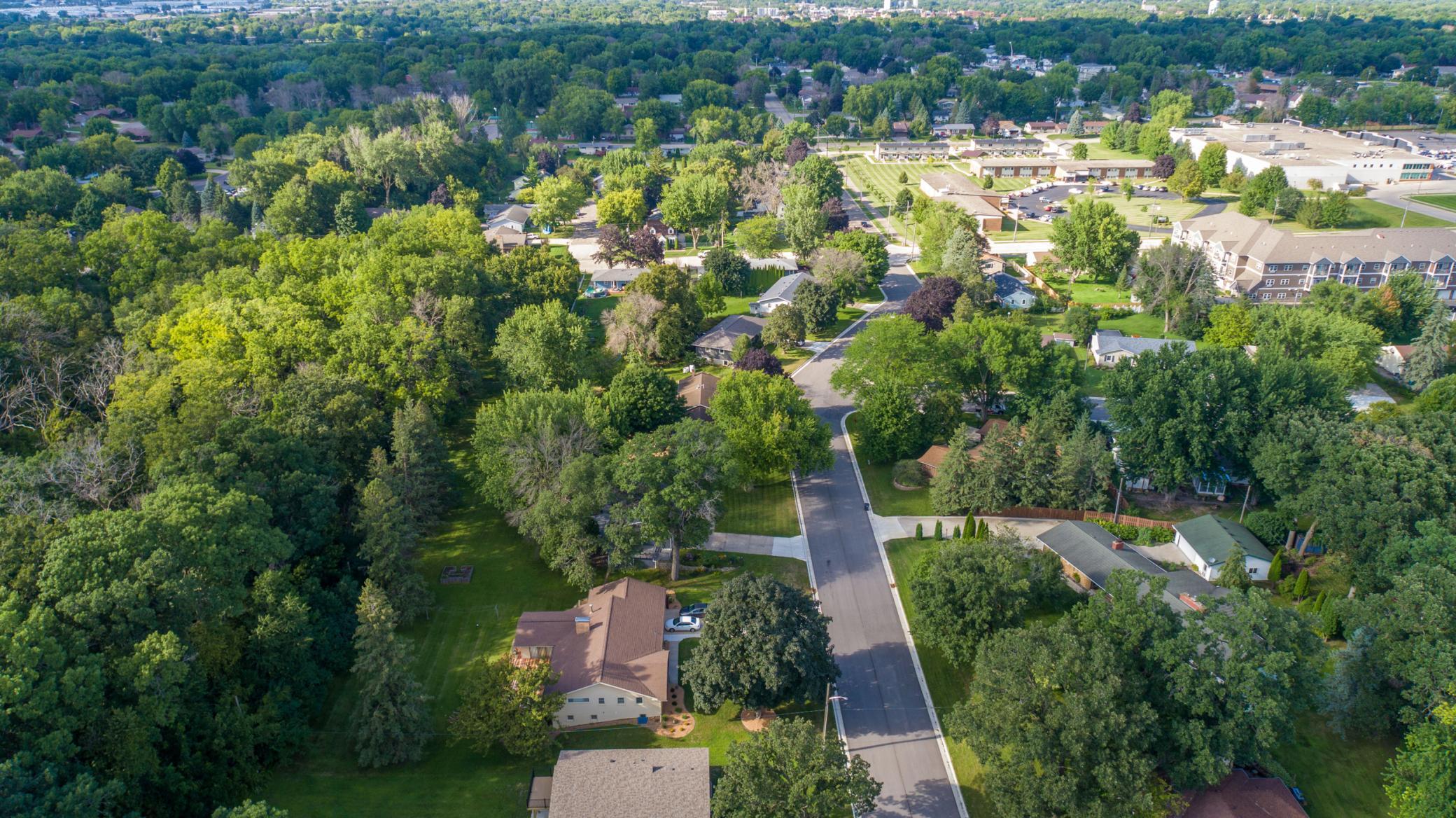 aerial 8.jpg