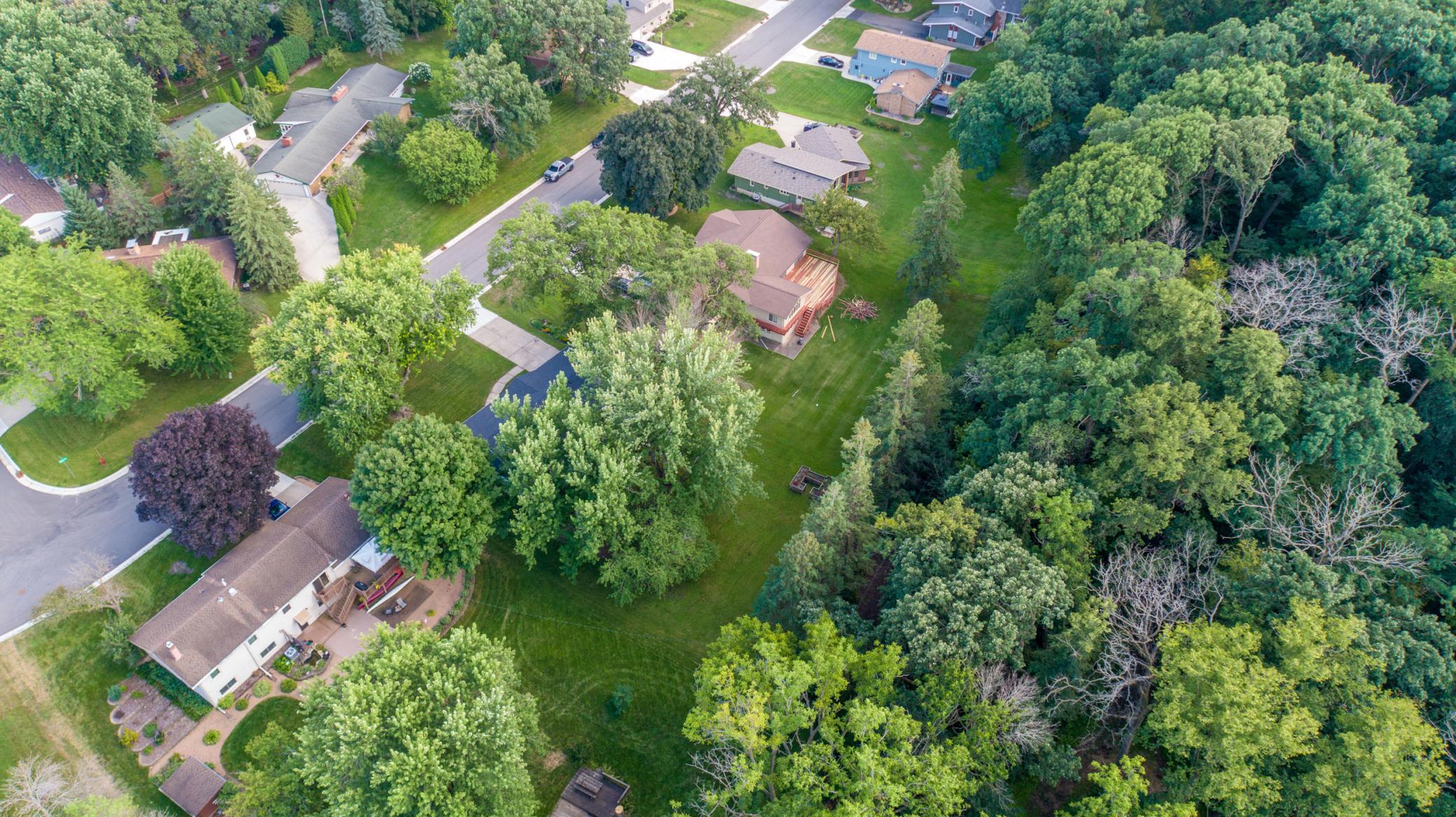 aerial 12.jpg