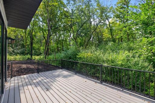 Maintenance free Trex deck is the perfect space for summer grilling.